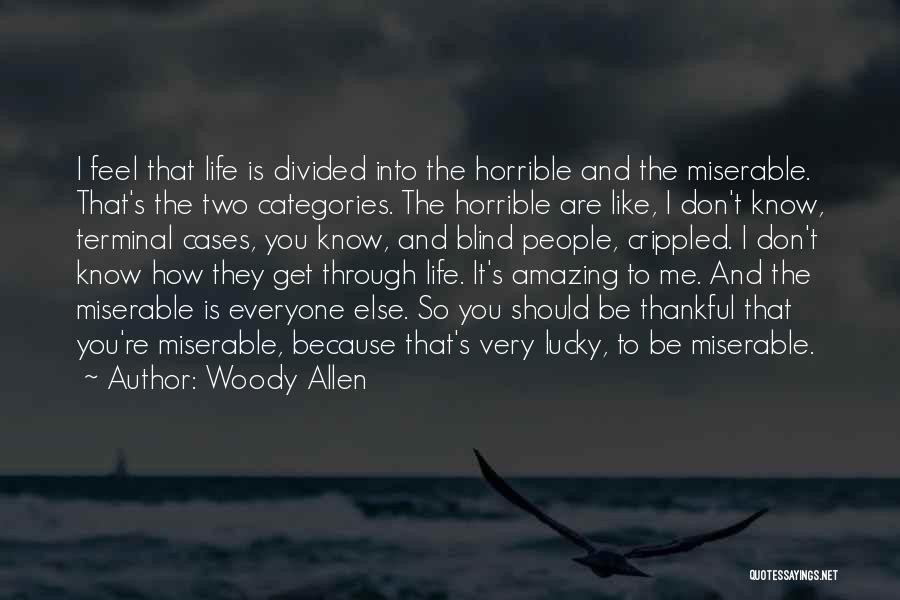 You Don Know How Amazing You Are Quotes By Woody Allen