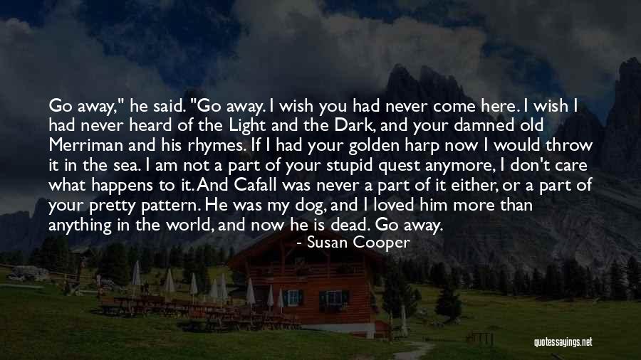You Don't Care Anymore Quotes By Susan Cooper You Don't Care Anymore Quotes By Susan Cooper