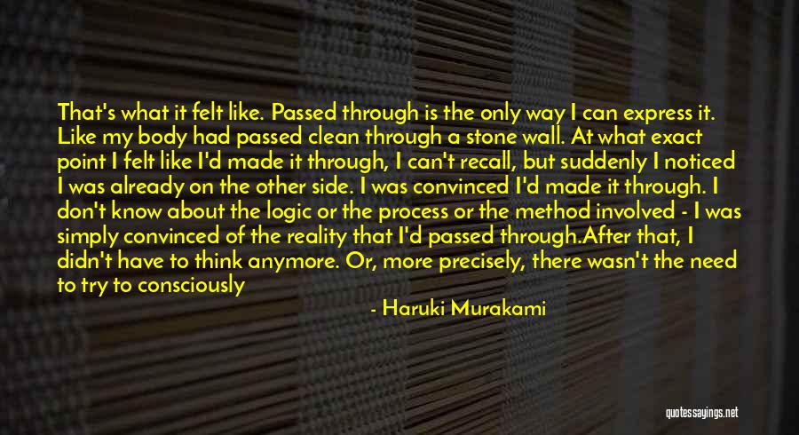 You Don't Even Know What I'm Going Through Quotes By Haruki Murakami