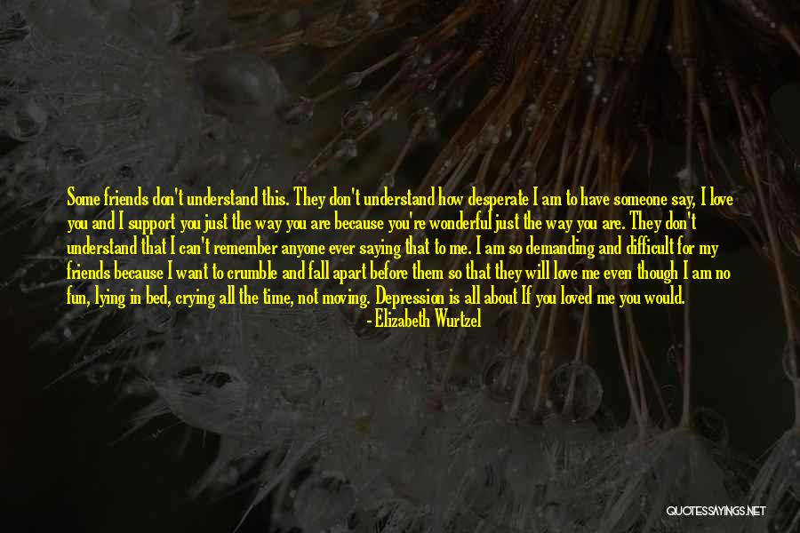 You Don't Even Understand Quotes By Elizabeth Wurtzel You Don't Even Understand Quotes By Elizabeth Wurtzel