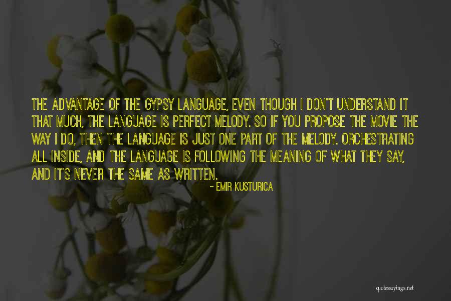 You Don't Even Understand Quotes By Emir Kusturica You Don't Even Understand Quotes By Emir Kusturica