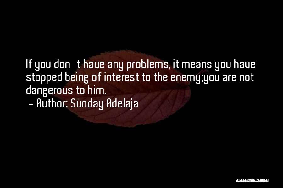 You Don't Have Problems Quotes By Sunday Adelaja