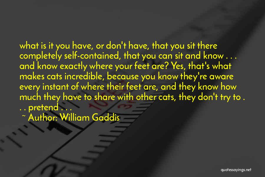 You Don't Have To Pretend Quotes By William Gaddis