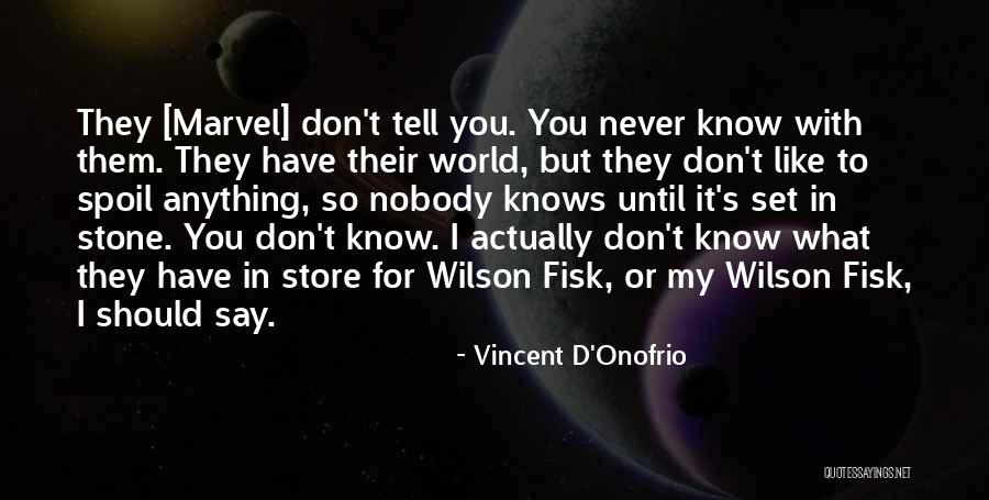 You Don't Have To Say Anything Quotes By Vincent D'Onofrio