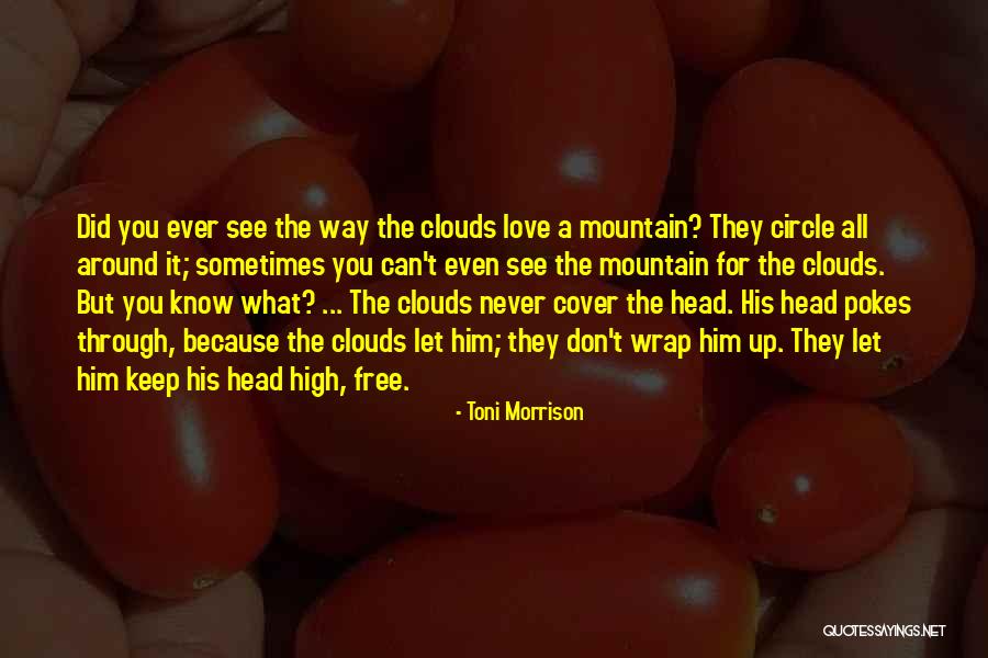 You Don't Know Him Quotes By Toni Morrison