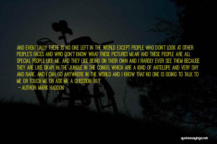 You Don't Know How Special You Are Quotes By Mark Haddon