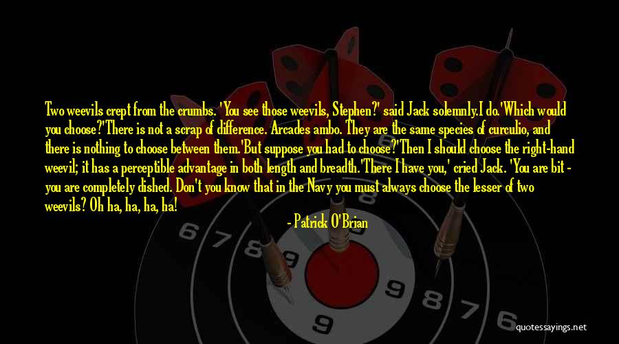 You Don't Know Jack Quotes By Patrick O'Brian You Don't Know Jack Quotes By Patrick O'Brian