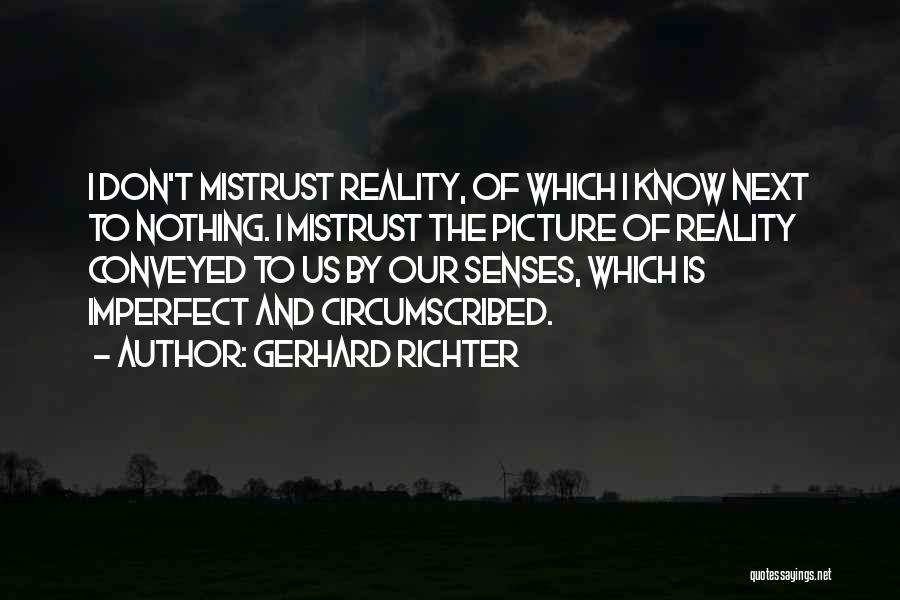 You Don't Know Me Picture Quotes By Gerhard Richter