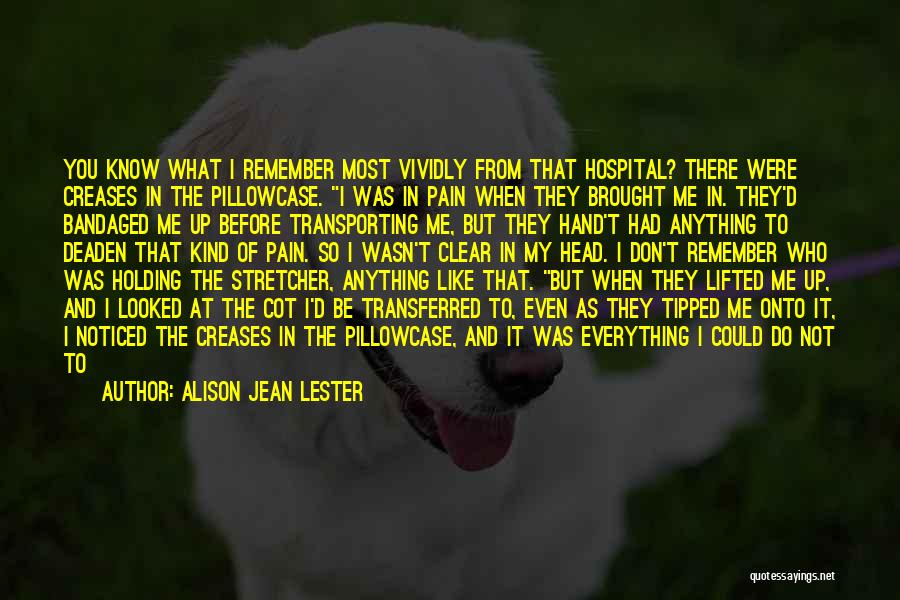 You Don't Know My Pain Quotes By Alison Jean Lester
