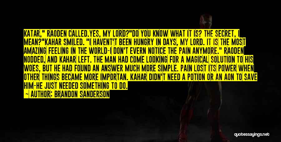 You Don't Know My Pain Quotes By Brandon Sanderson