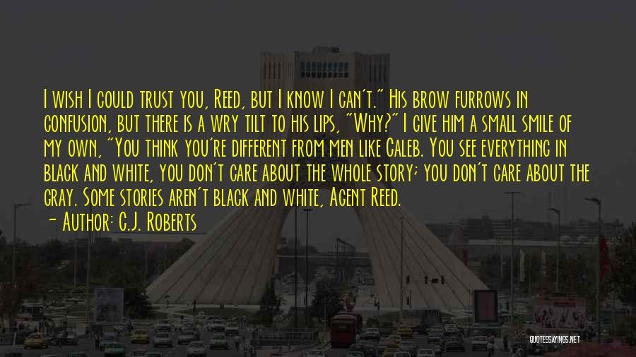 You Don't Know My Story Quotes By C.J. Roberts