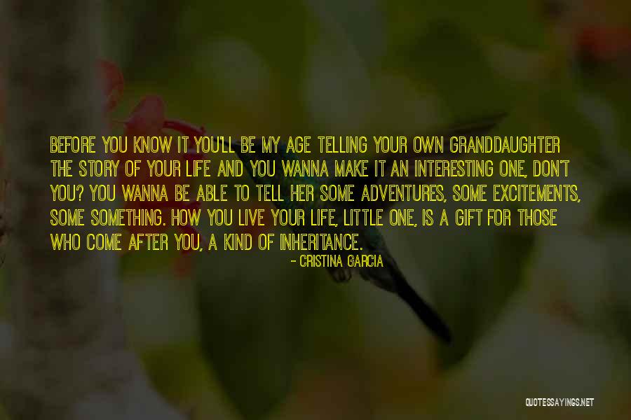 You Don't Know My Story Quotes By Cristina Garcia