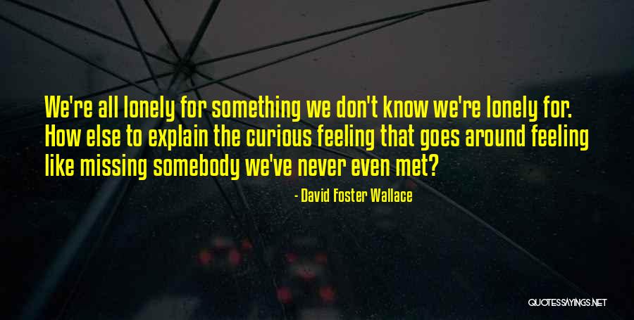 You Don't Know What Your Missing Quotes By David Foster Wallace