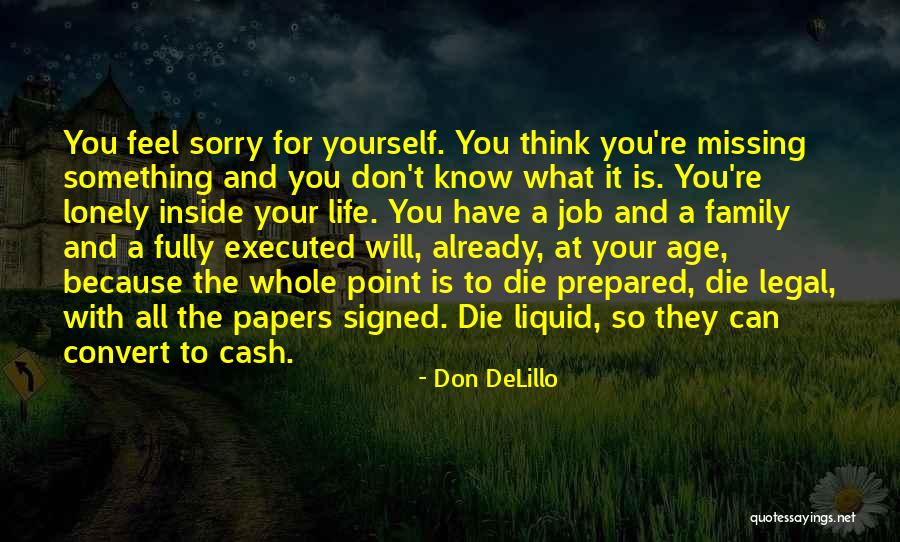 You Don't Know What Your Missing Quotes By Don DeLillo