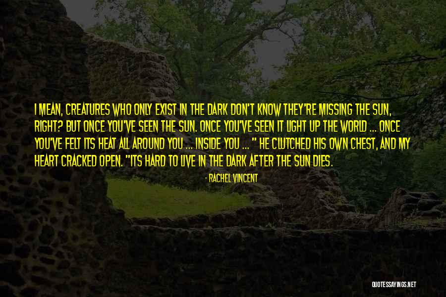 You Don't Know What Your Missing Quotes By Rachel Vincent