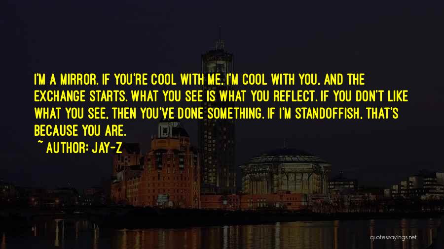 You Don't Like Me Cool Quotes By Jay-Z