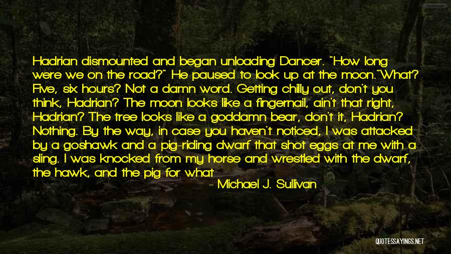 You Don't Need To Like Me Quotes By Michael J. Sullivan You Don't Need To Like Me Quotes By Michael J. Sullivan