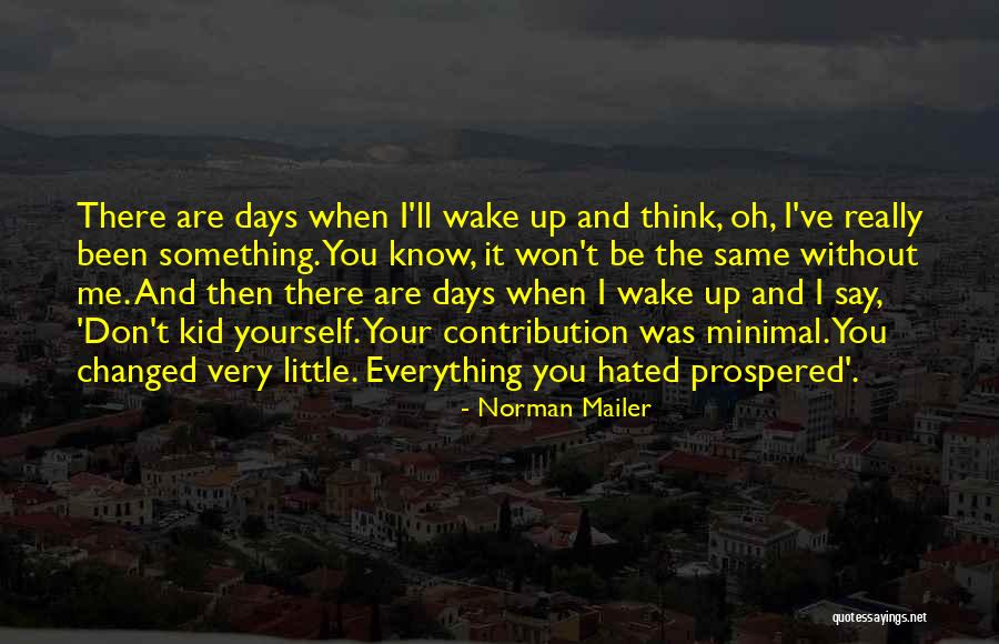 You Don't Really Know Me Quotes By Norman Mailer You Don't Really Know Me Quotes By Norman Mailer