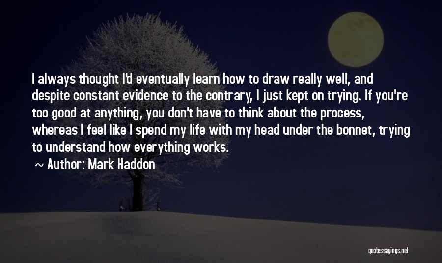 You Don't Understand How I Feel Quotes By Mark Haddon