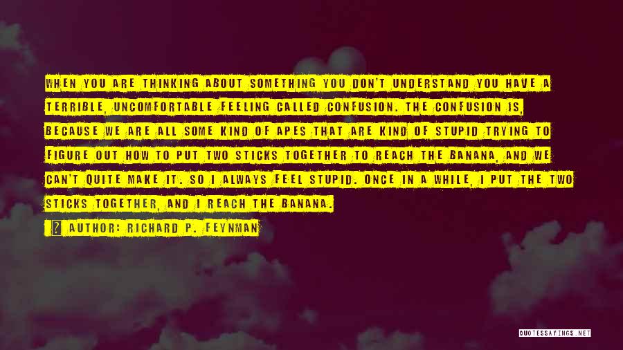 You Don't Understand How I Feel Quotes By Richard P. Feynman