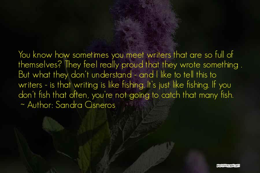 You Don't Understand How I Feel Quotes By Sandra Cisneros