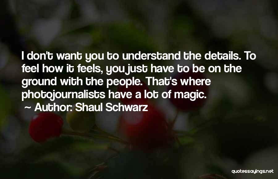 You Don't Understand How I Feel Quotes By Shaul Schwarz