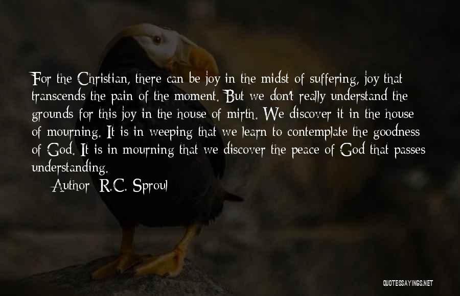 You Don't Understand My Pain Quotes By R.C. Sproul