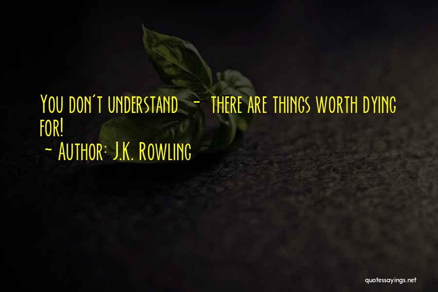 You Don't Understand Quotes By J.K. Rowling