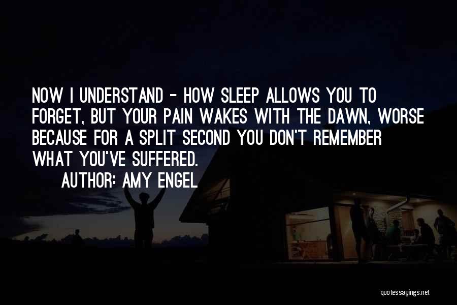 You Don't Understand The Pain Quotes By Amy Engel