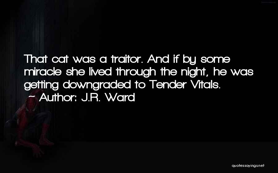 You Downgraded Quotes By J.R. Ward