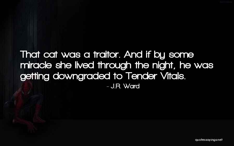 You Downgraded Quotes By J.R. Ward