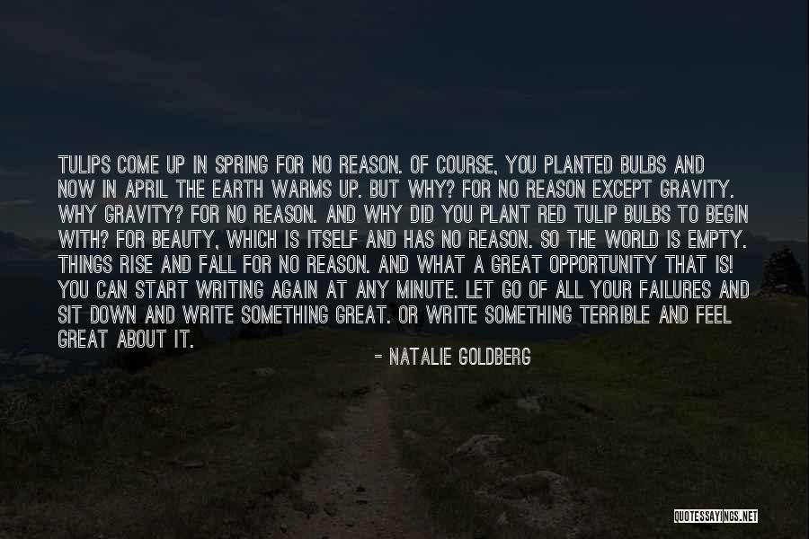 You Fall You Rise Quotes By Natalie Goldberg You Fall You Rise Quotes By Natalie Goldberg