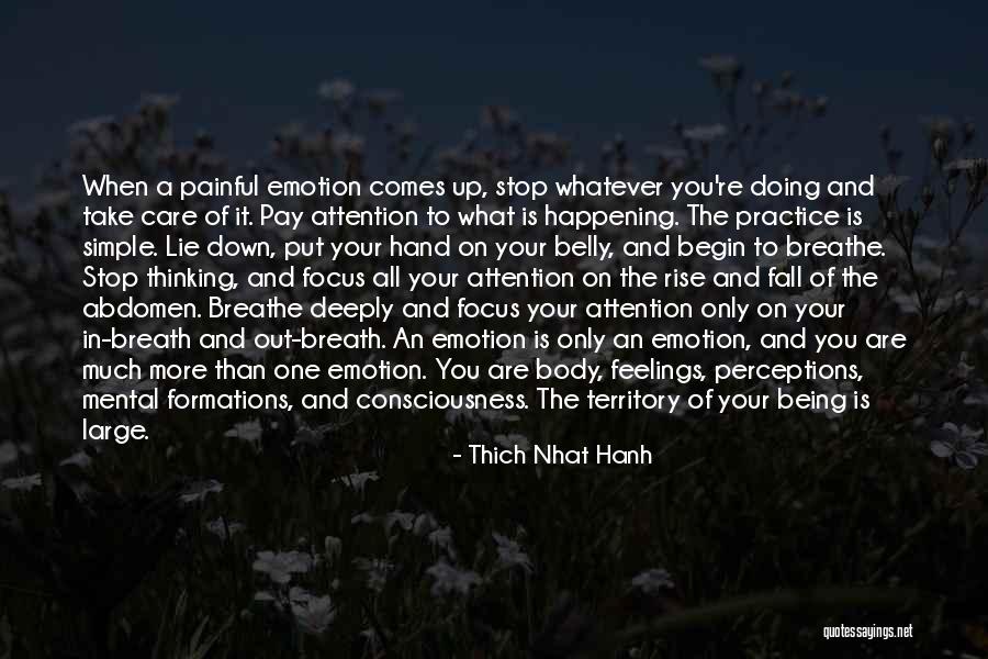 You Fall You Rise Quotes By Thich Nhat Hanh You Fall You Rise Quotes By Thich Nhat Hanh