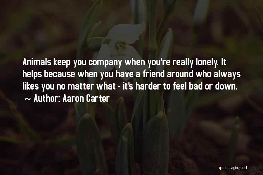 You Feel Lonely Quotes By Aaron Carter