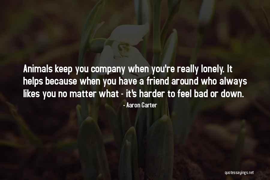 You Feel Lonely Quotes By Aaron Carter