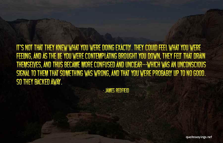 You Felt So Good Quotes By James Redfield You Felt So Good Quotes By James Redfield