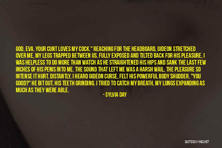 You Felt So Good Quotes By Sylvia Day You Felt So Good Quotes By Sylvia Day
