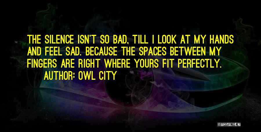 You Fit Me Perfectly Quotes By Owl City