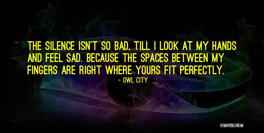 You Fit Me Perfectly Quotes By Owl City