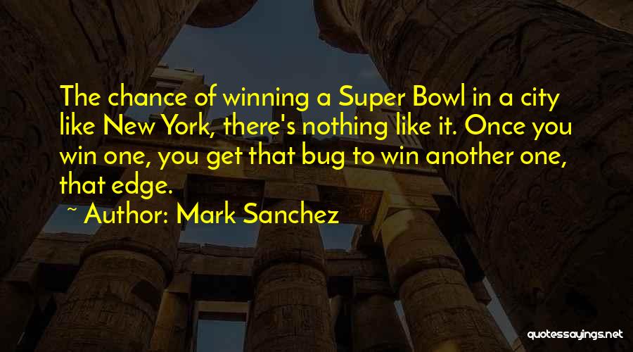 You Get One Chance Quotes By Mark Sanchez
