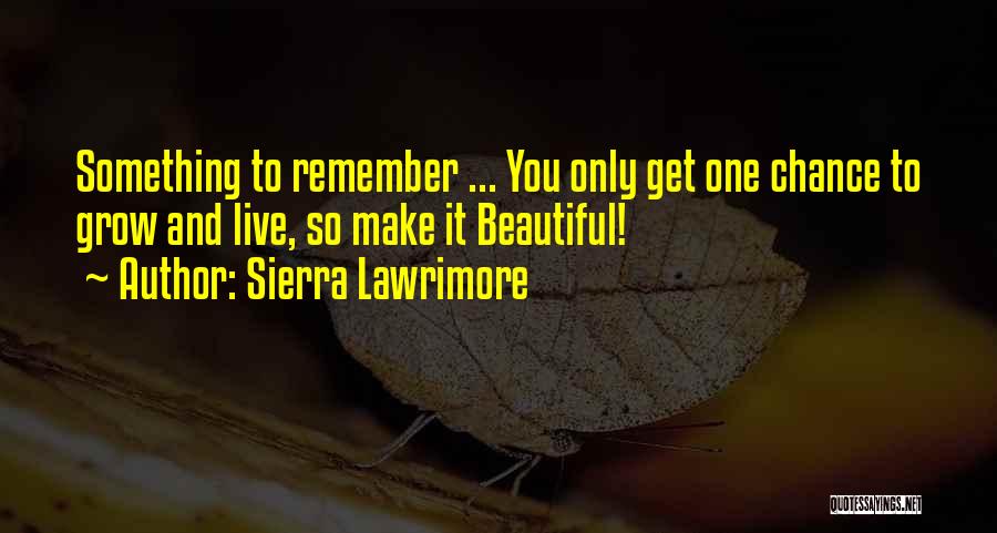 You Get One Chance Quotes By Sierra Lawrimore