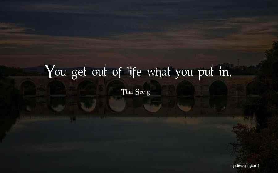 You Get Out What You Put In Quotes By Tina Seelig