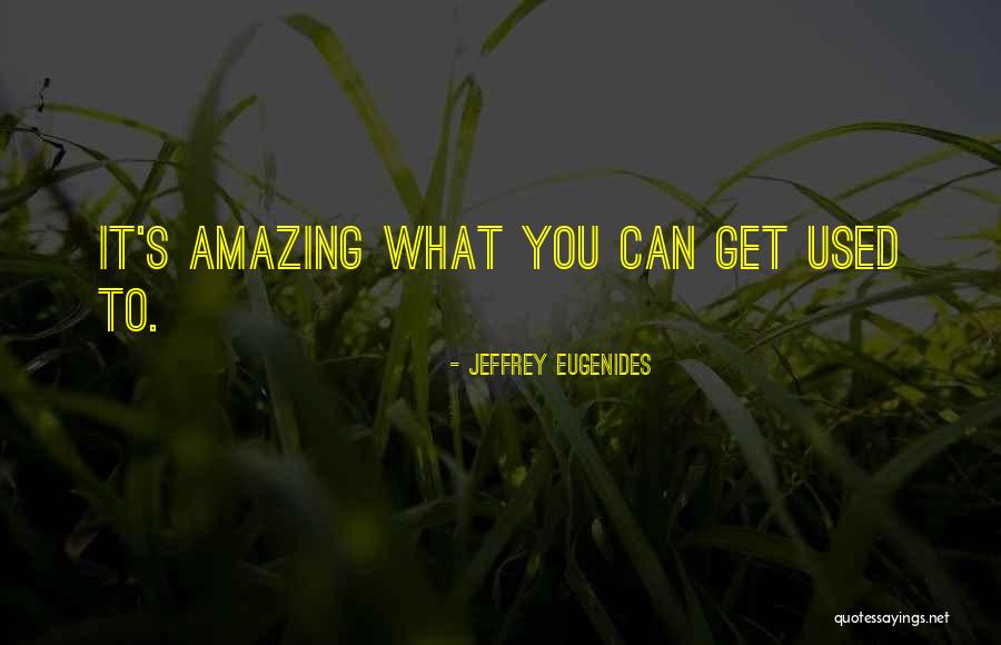 You Get Used To It Quotes By Jeffrey Eugenides