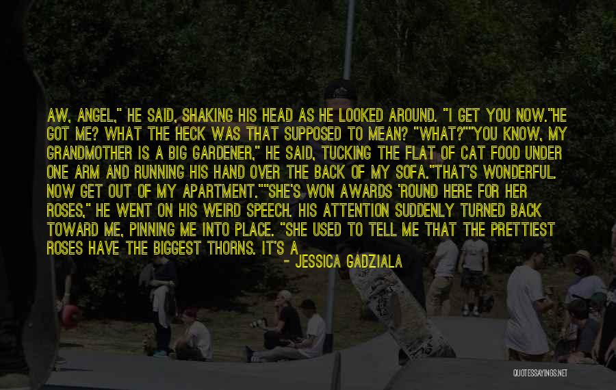 You Get Used To It Quotes By Jessica Gadziala You Get Used To It Quotes By Jessica Gadziala