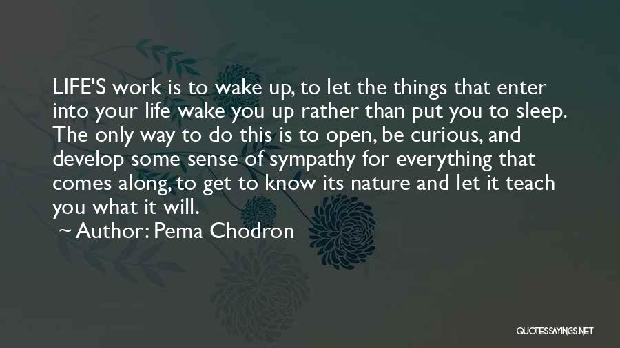 You Get What You Put Into Life Quotes By Pema Chodron