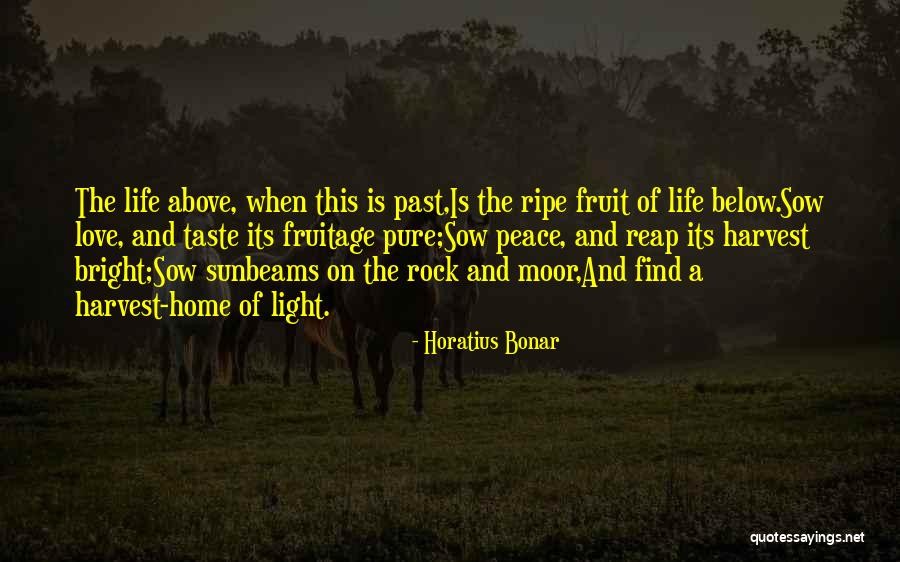 You Get What You Sow Quotes By Horatius Bonar You Get What You Sow Quotes By Horatius Bonar