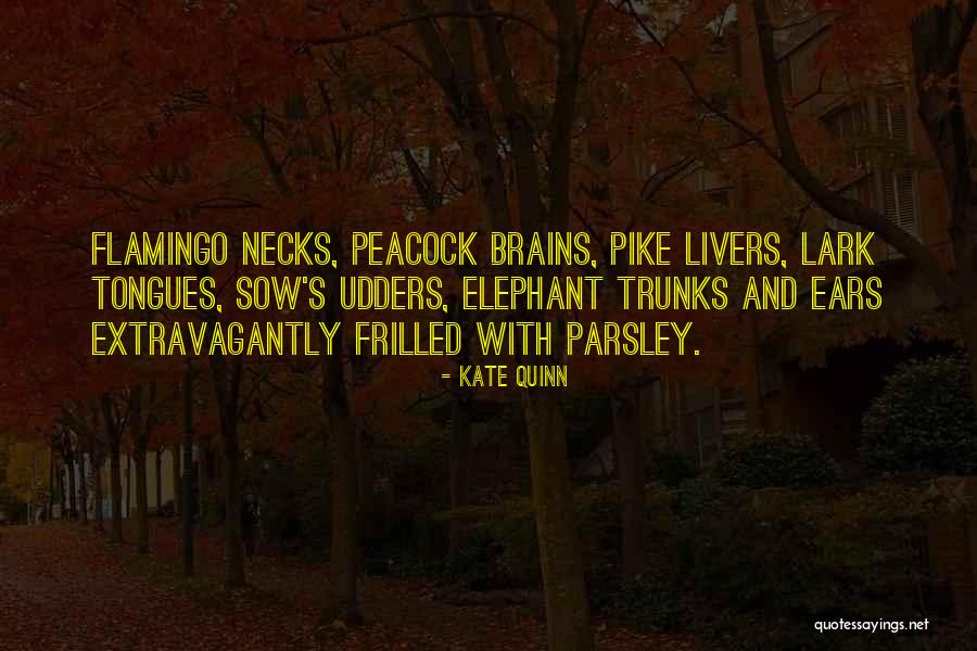 You Get What You Sow Quotes By Kate Quinn You Get What You Sow Quotes By Kate Quinn