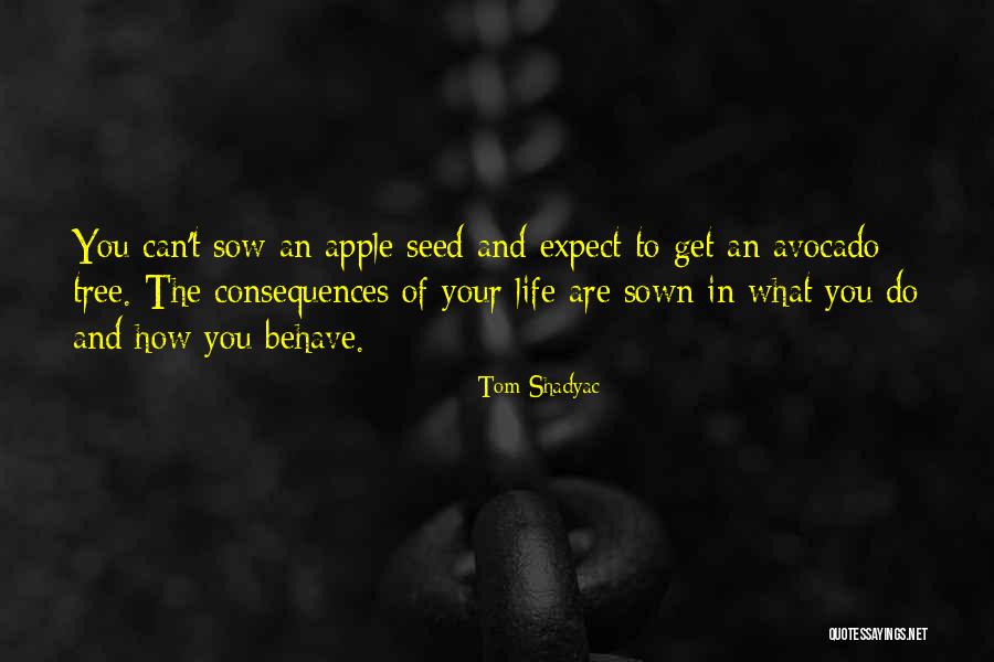 You Get What You Sow Quotes By Tom Shadyac You Get What You Sow Quotes By Tom Shadyac