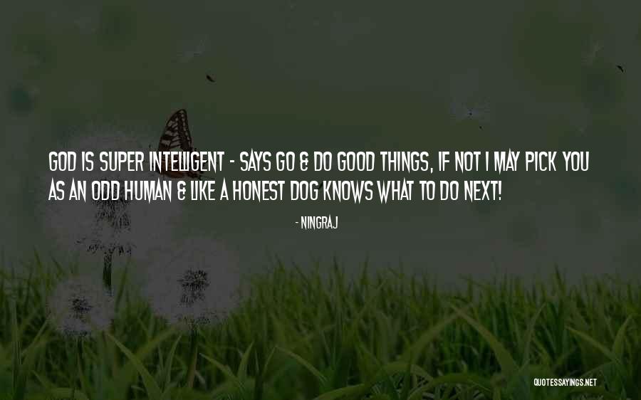 You Go Dog Quotes By Ningraj You Go Dog Quotes By Ningraj
