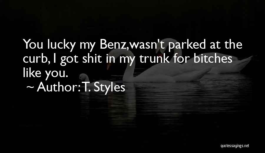 You Got Lucky Quotes By T. Styles